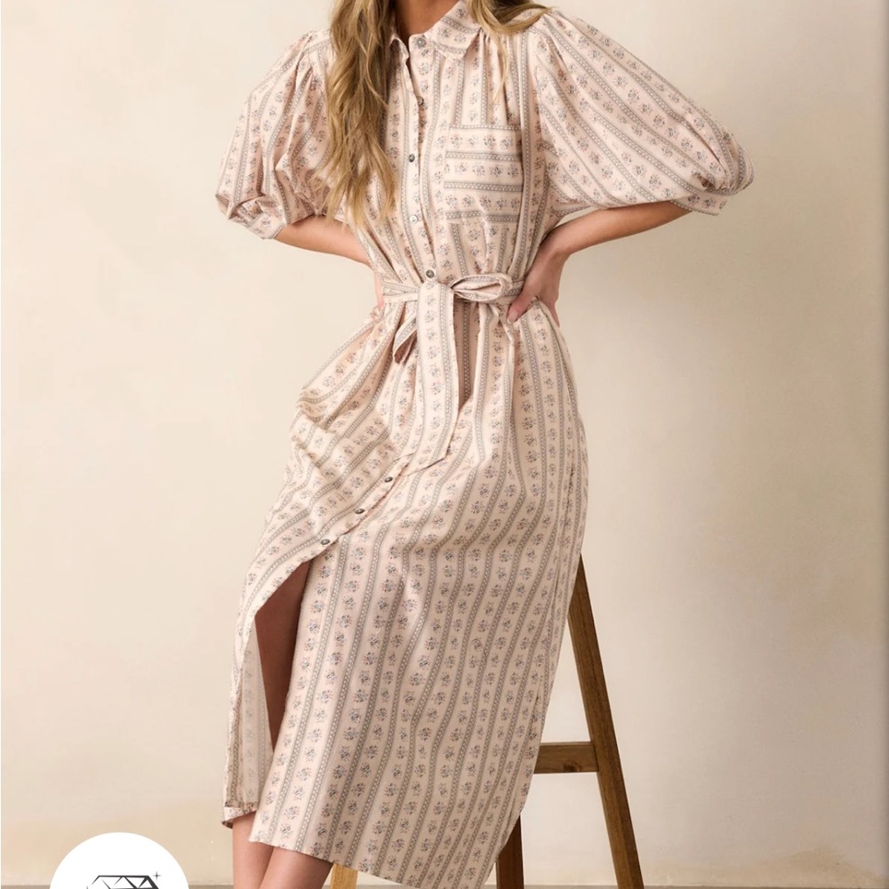 New Cream ditsy floral collared bow midi dress